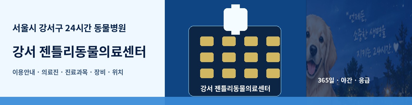 서울시 강서구 24시간 동물병원 · 강서 젠틀리동물의료센터 이용안내 대표 이미지