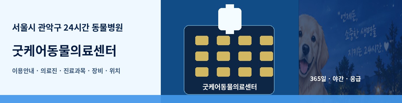 서울시 관악구 24시간 동물병원 · 굿케어동물의료센터 이용안내 대표 이미지