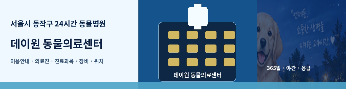 서울시 동작구 24시간 동물병원 · 데이원 동물의료센터 이용안내 대표 이미지