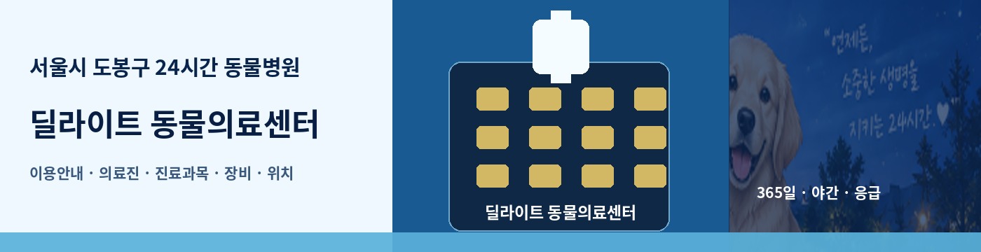 서울시 도봉구 24시간 동물병원 · 딜라이트 동물의료센터 이용안내 대표 이미지