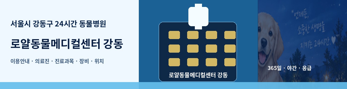 서울시 강동구 24시간 동물병원 · 로얄동물메디컬센터 강동 이용안내 대표 이미지