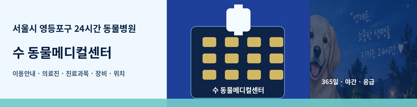 서울시 영등포구 24시간 동물병원 · 수 동물메디컬센터 이용안내 대표 이미지