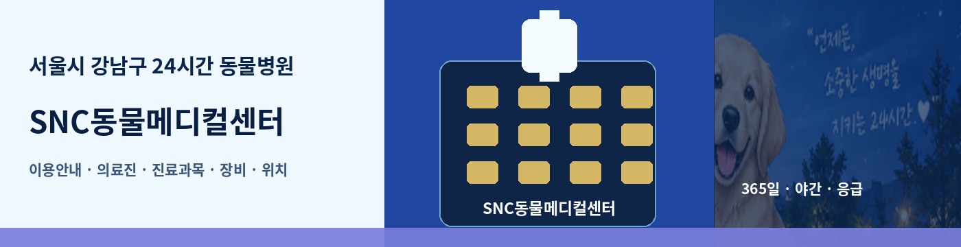 서울시 강남구 24시간 동물병원 · SNC동물메디컬센터 이용안내 대표 이미지