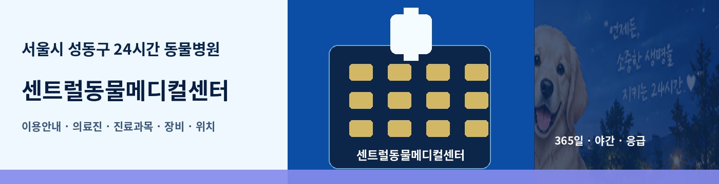서울시 성동구 24시간 동물병원 · 센트럴동물메디컬센터 이용안내 대표 이미지