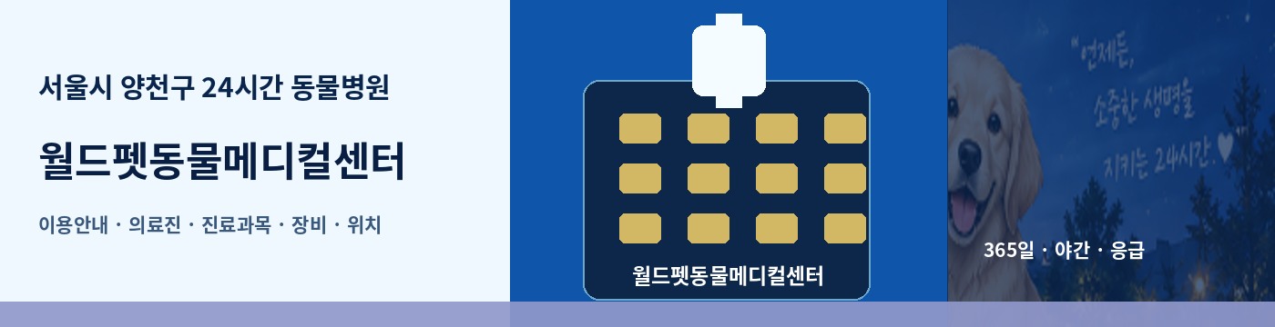 서울시 양천구 24시간 동물병원 · 월드펫동물메디컬센터 이용안내 대표 이미지