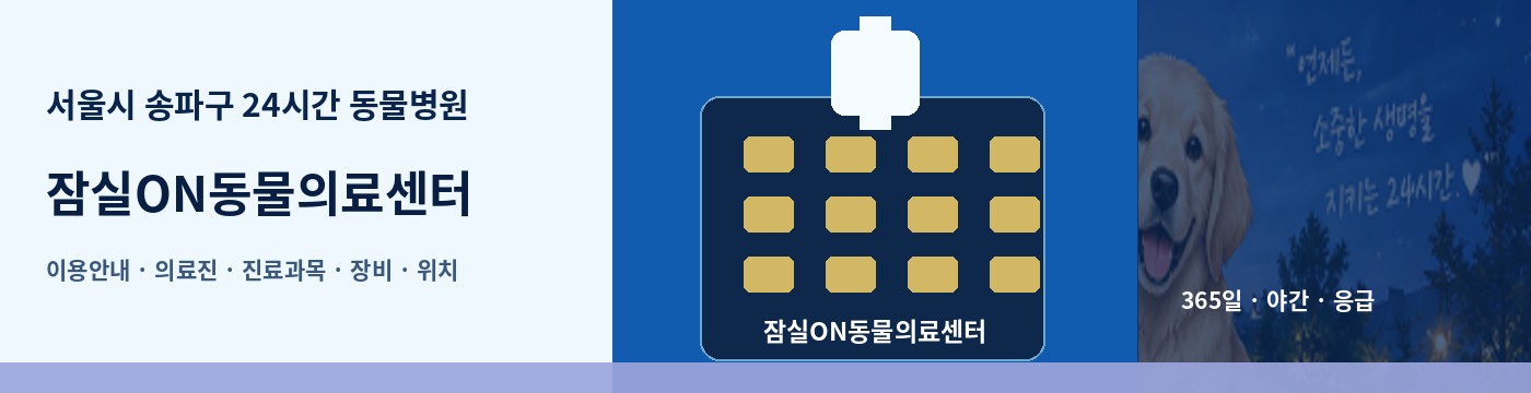 서울시 송파구 24시간 동물병원 · 잠실ON동물의료센터 이용안내 대표 이미지