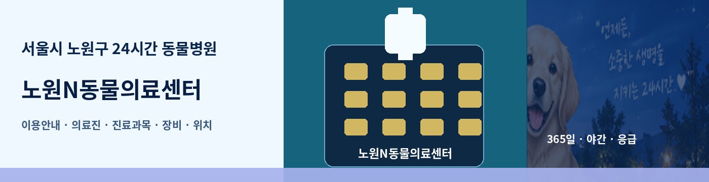 서울시 노원구 24시간 동물병원 · 노원N동물의료센터 이용안내 대표 이미지
