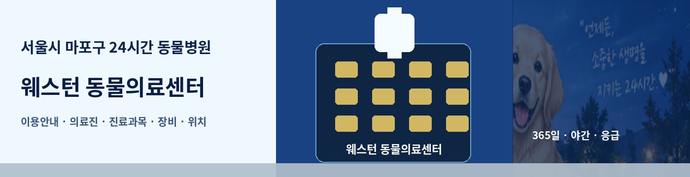 서울시 마포구 24시간 동물병원 · 웨스턴 동물의료센터 이용안내 대표 이미지