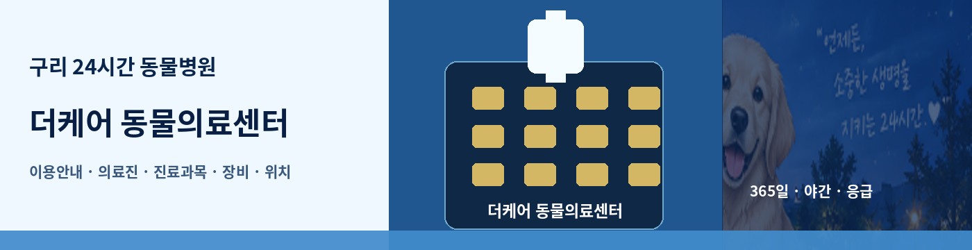 구리 24시간 동물병원 · 더케어 동물의료센터 이용안내 대표 이미지