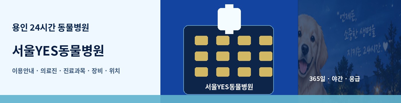 용인 24시간 동물병원 · 서울YES동물병원 이용안내 대표 이미지