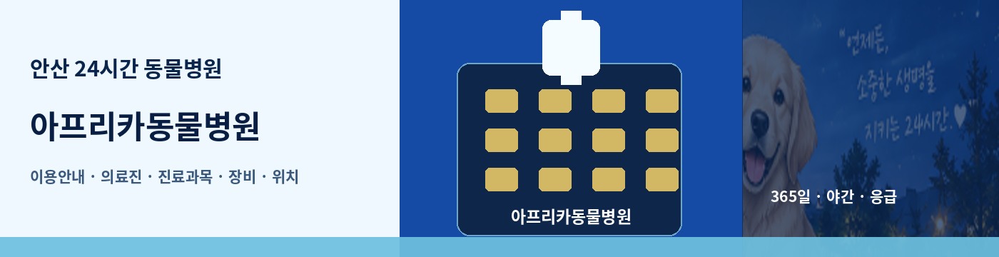 안산 24시간 동물병원 · 아프리카동물병원 이용안내 대표 이미지