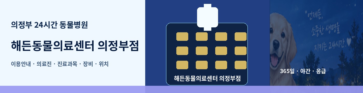 의정부 24시간 동물병원 · 해든동물의료센터 의정부점 이용안내 대표 이미지