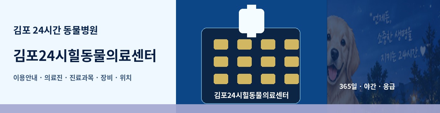 김포 24시간 동물병원 · 김포24시힐동물의료센터 이용안내 대표 이미지