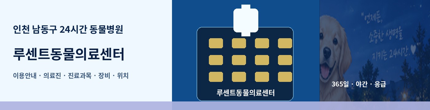 인천 남동구 24시간 동물병원 · 루센트동물의료센터 이용안내 대표 이미지