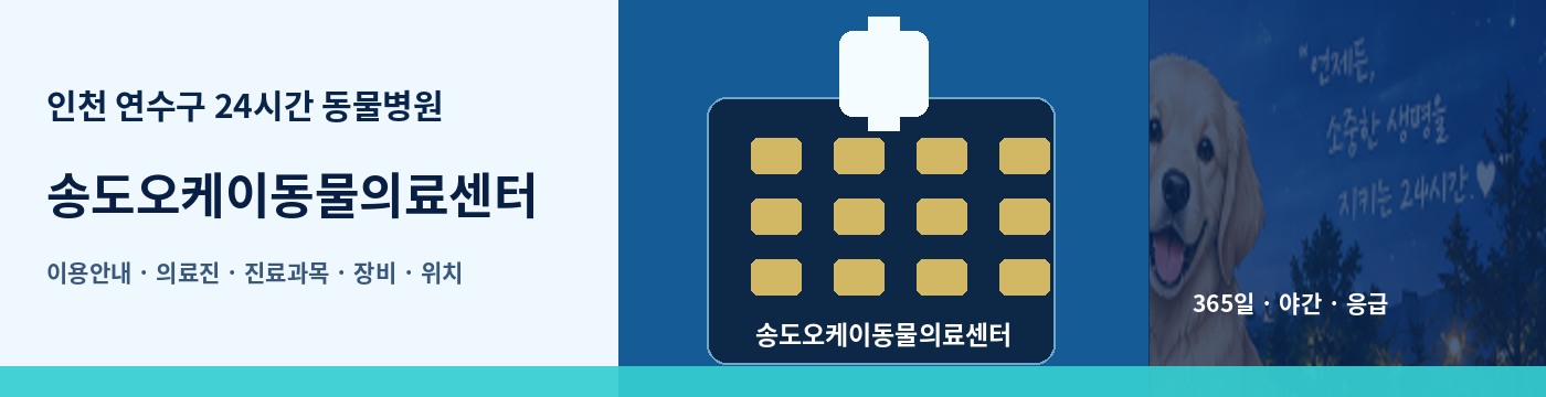 인천 연수구 24시간 동물병원 · 송도오케이동물의료센터 이용안내 대표 이미지