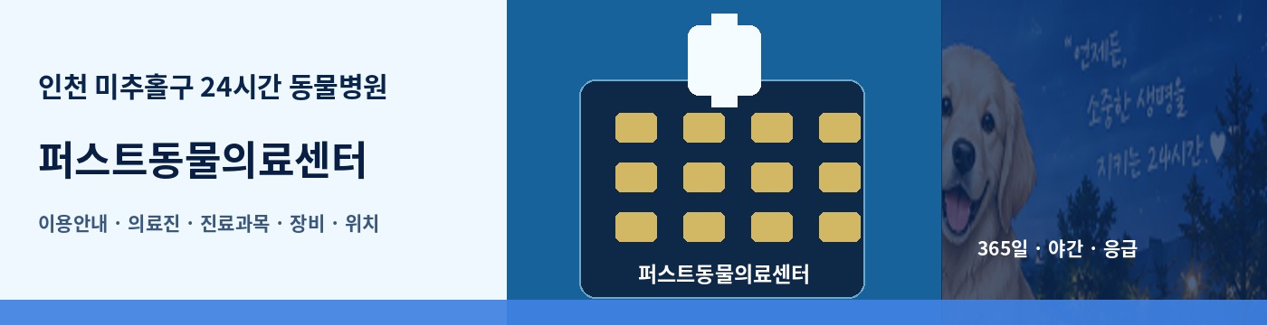 인천 미추홀구 24시간 동물병원 · 퍼스트동물의료센터 이용안내 대표 이미지