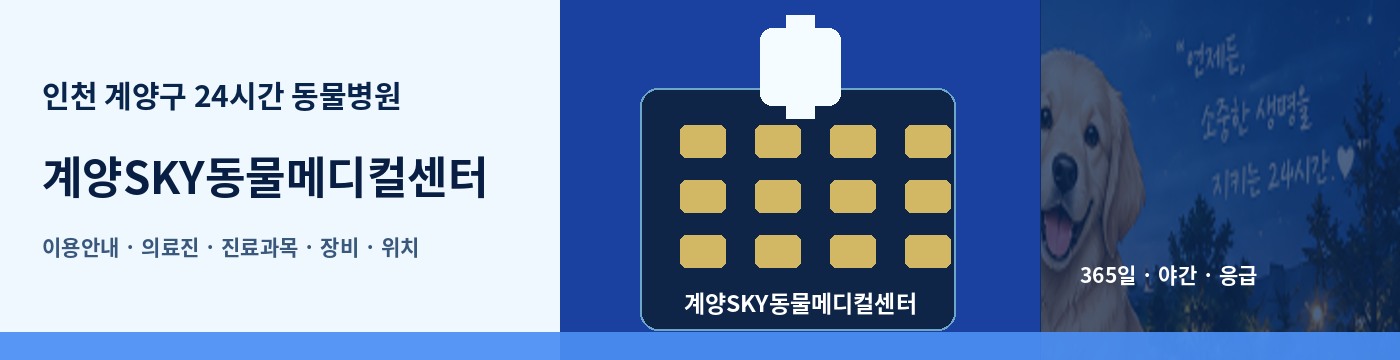 인천 계양구 24시간 동물병원 · 계양SKY동물메디컬센터 이용안내 대표 이미지