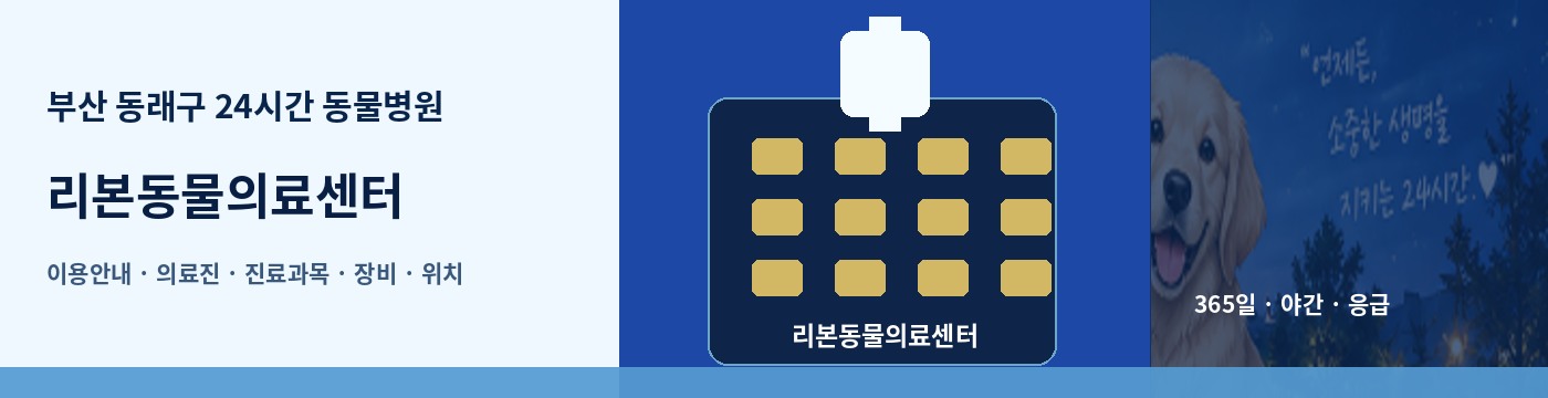 부산 동래구 24시간 동물병원 · 리본동물의료센터 이용안내 대표 이미지