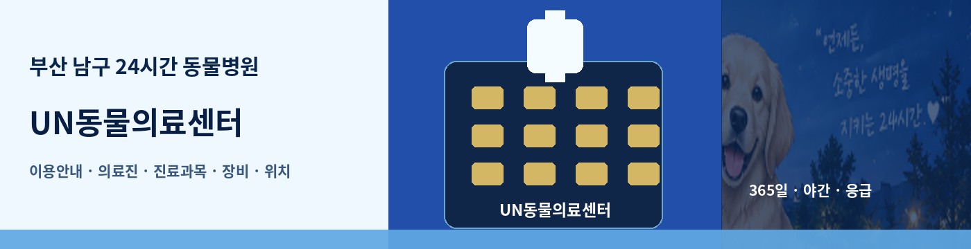 부산 남구 24시간 동물병원 · UN동물의료센터 이용안내 대표 이미지