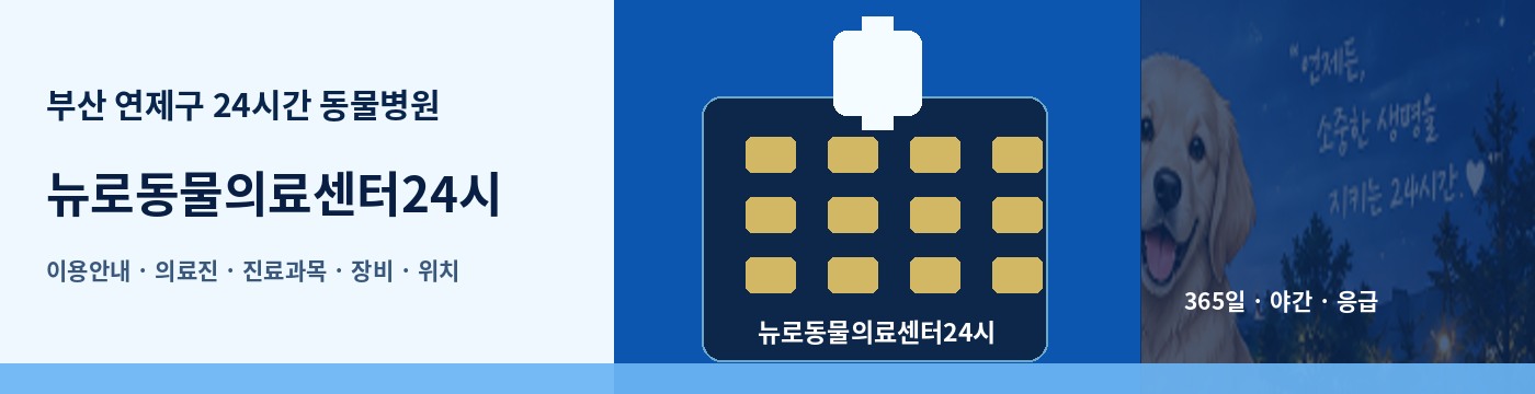부산 연제구 24시간 동물병원 · 뉴로동물의료센터24시 이용안내 대표 이미지