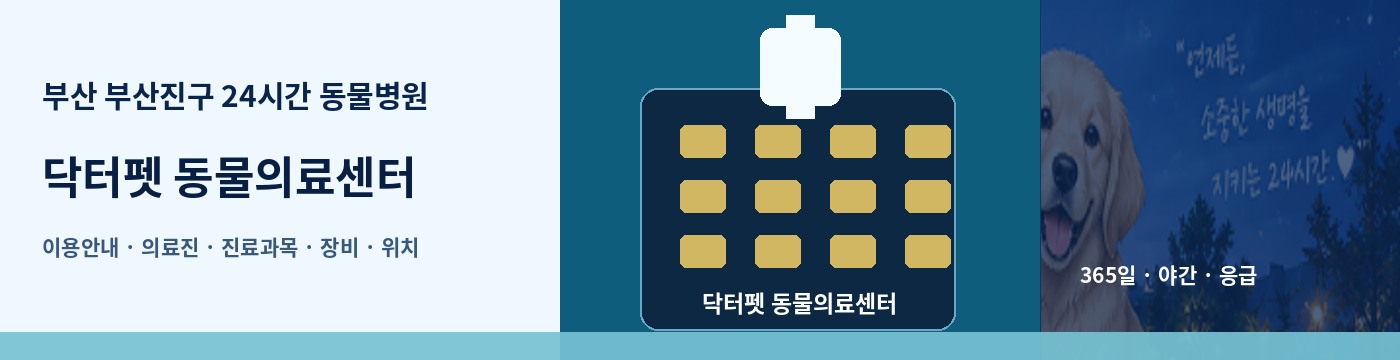 부산 부산진구 24시간 동물병원 · 닥터펫 동물의료센터 이용안내 대표 이미지