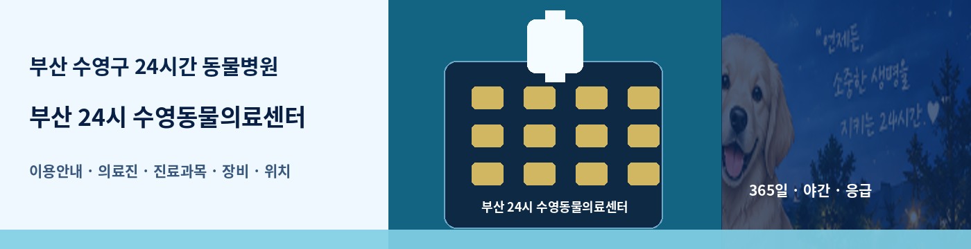 부산 수영구 24시간 동물병원 · 부산 24시 수영동물의료센터 이용안내 대표 이미지