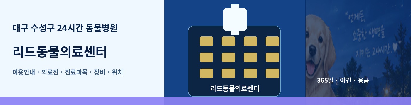 대구 수성구 24시간 동물병원 · 리드동물의료센터 이용안내 대표 이미지