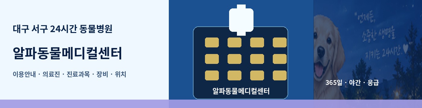 대구 서구 24시간 동물병원 · 알파동물메디컬센터 이용안내 대표 이미지