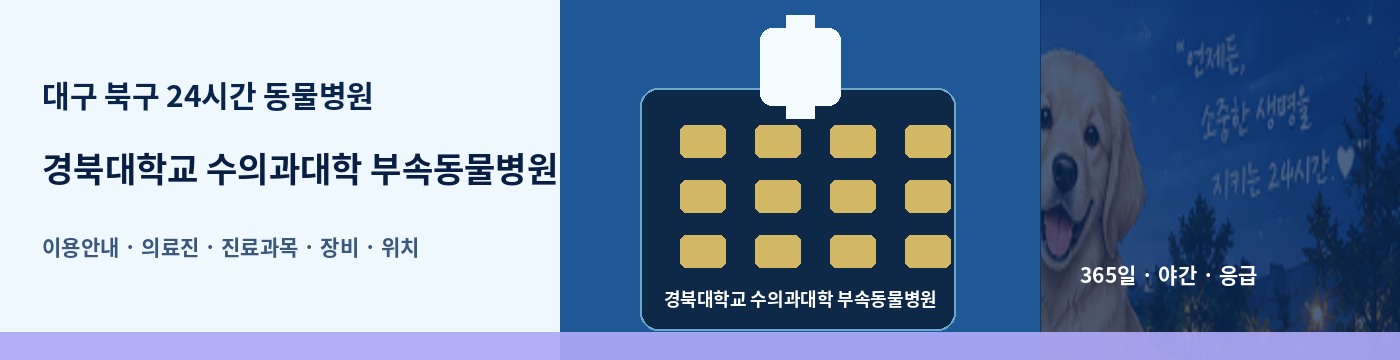 대구 북구 24시간 동물병원 · 경북대학교 수의과대학 부속동물병원 이용안내 대표 이미지