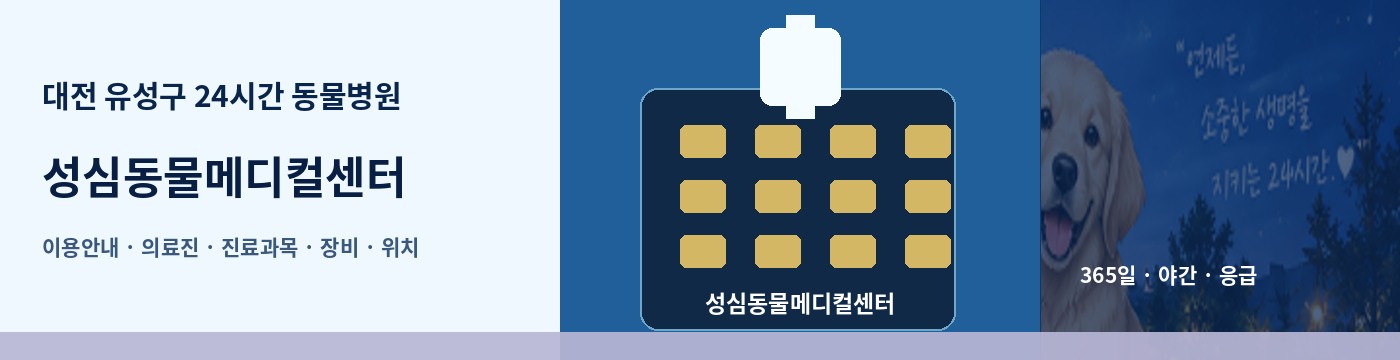 대전 유성구 24시간 동물병원 · 성심동물메디컬센터 이용안내 대표 이미지