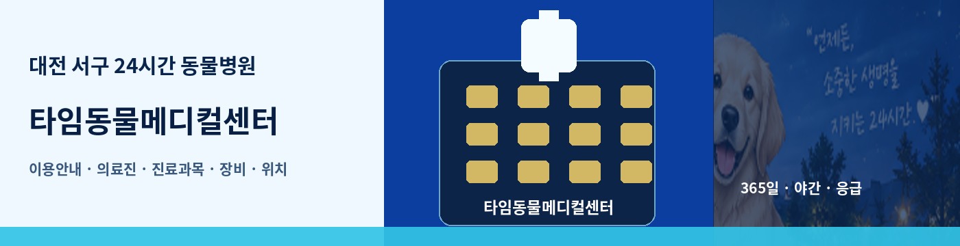 대전 서구 24시간 동물병원 · 타임동물메디컬센터 이용안내 대표 이미지