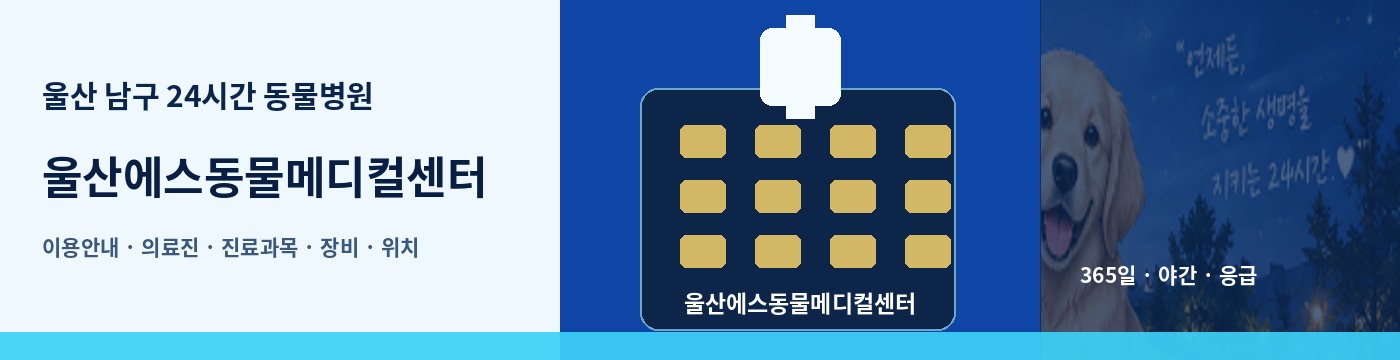 울산 남구 24시간 동물병원 · 울산에스동물메디컬센터 이용안내 대표 이미지