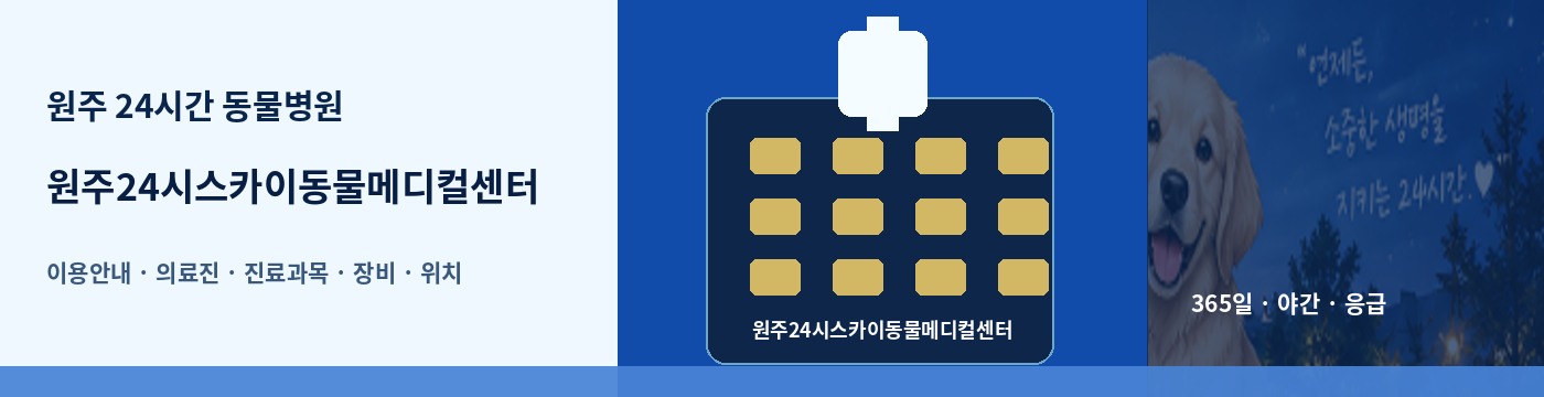 원주 24시간 동물병원 · 원주24시스카이동물메디컬센터 이용안내 대표 이미지