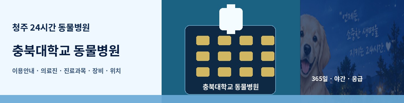 청주 24시간 동물병원 · 충북대학교 동물병원 이용안내 대표 이미지