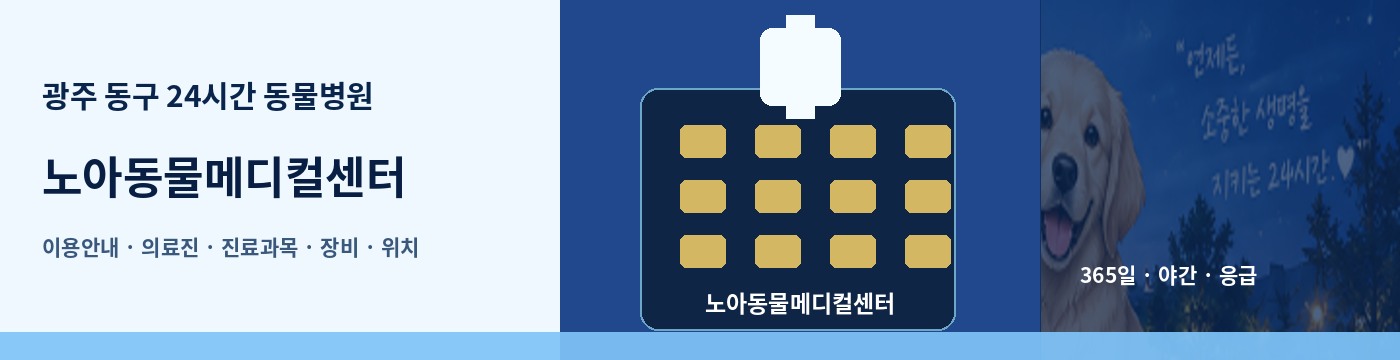 광주 동구 24시간 동물병원 · 노아동물메디컬센터 이용안내 대표 이미지