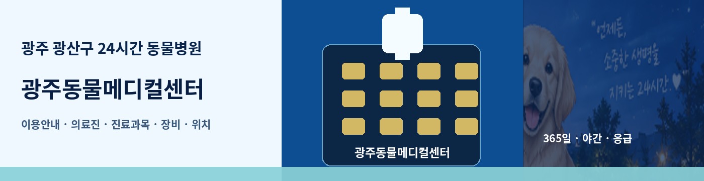광주 광산구 24시간 동물병원 · 광주동물메디컬센터 이용안내 대표 이미지