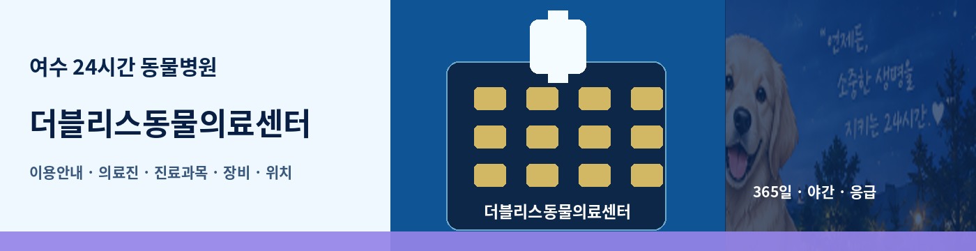 여수 24시간 동물병원 · 더블리스동물의료센터 이용안내 대표 이미지