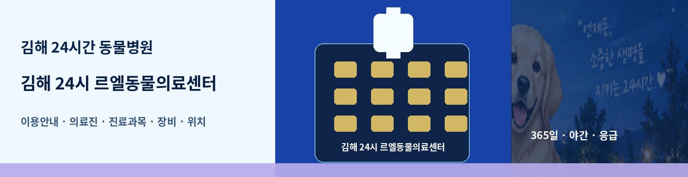 김해 24시간 동물병원 · 김해 24시 르엘동물의료센터 이용안내 대표 이미지