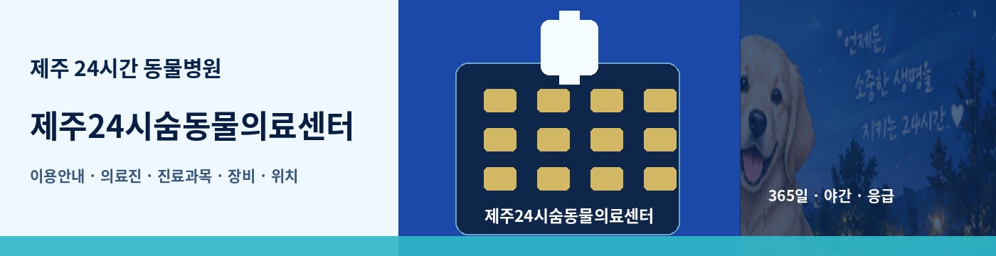 제주 24시간 동물병원 · 제주24시숨동물의료센터 이용안내 대표 이미지